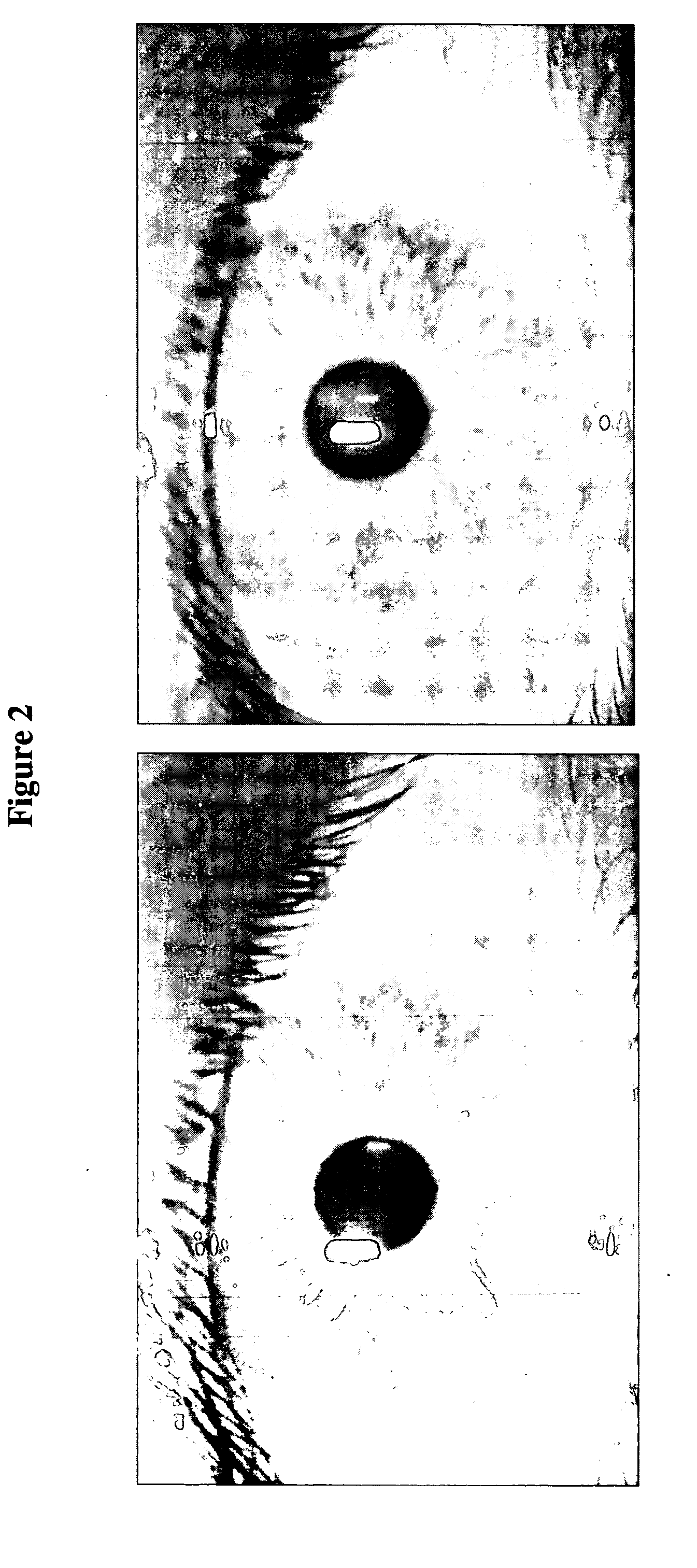 Soft contact lenses displaying superior on-eye comfort