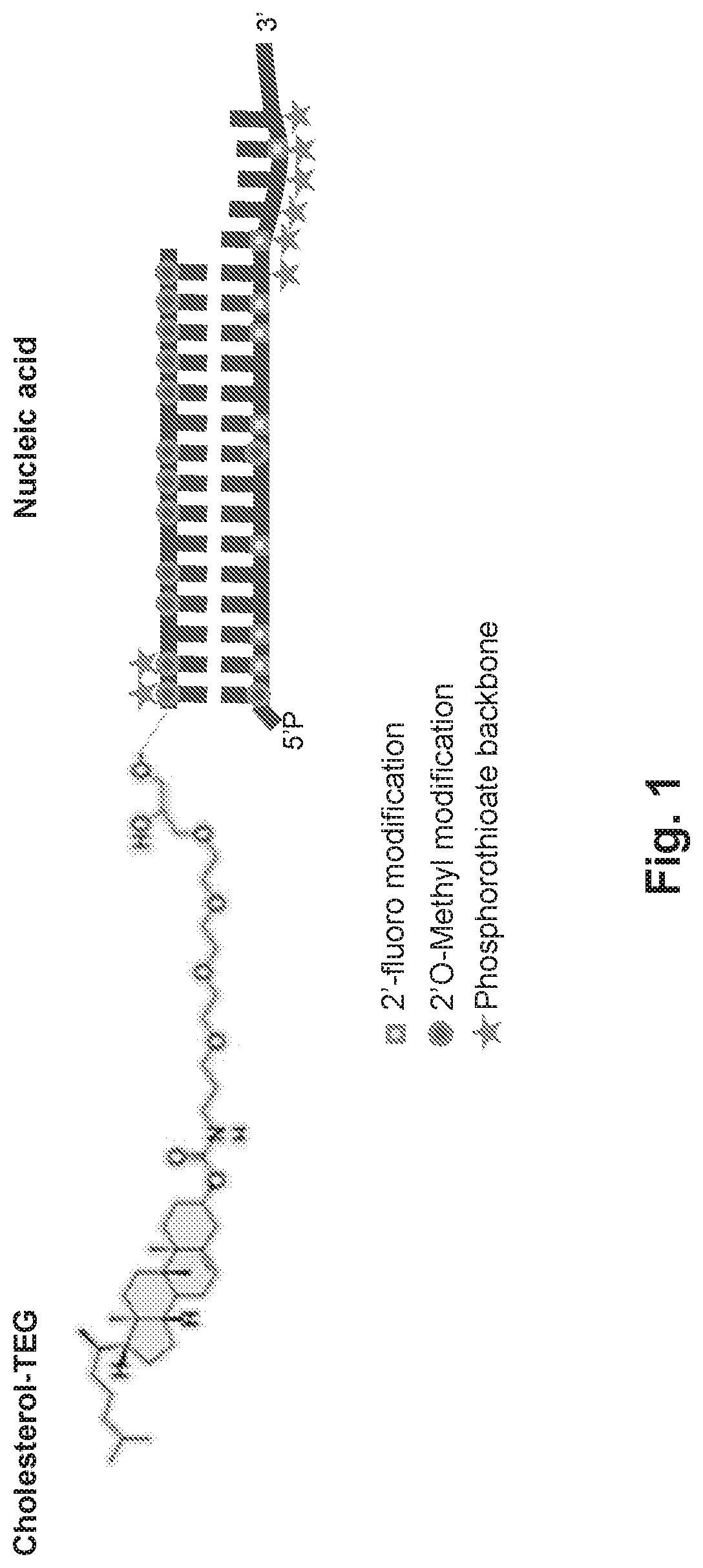 Treatment of CNS injury with RNAi therapeutics