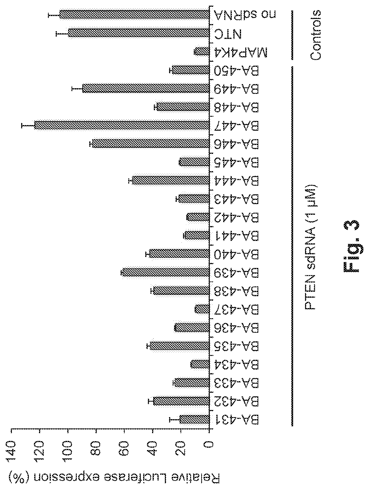 Treatment of CNS injury with RNAi therapeutics