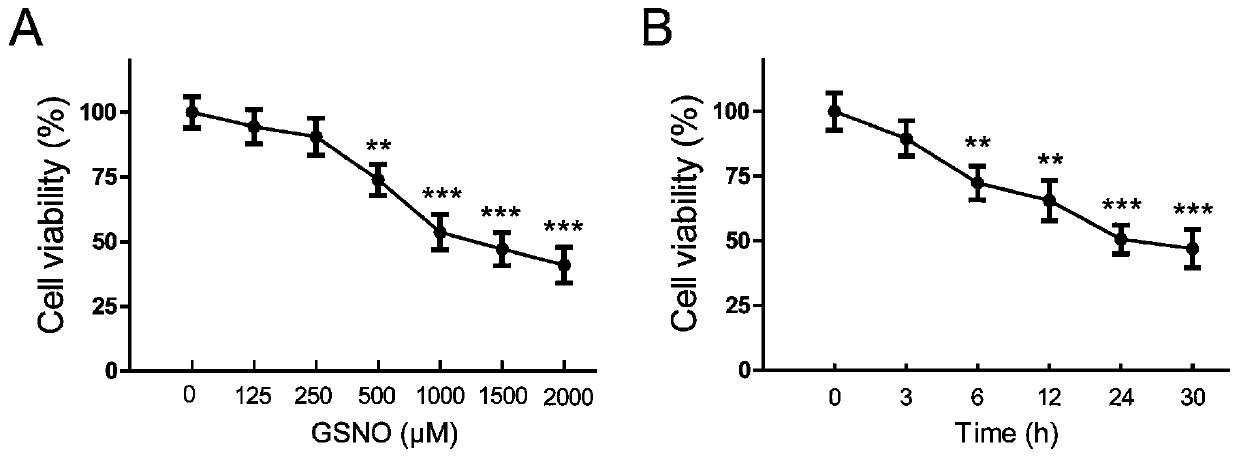 Method for improving protective effect of creatine on excitatory neurotoxicity