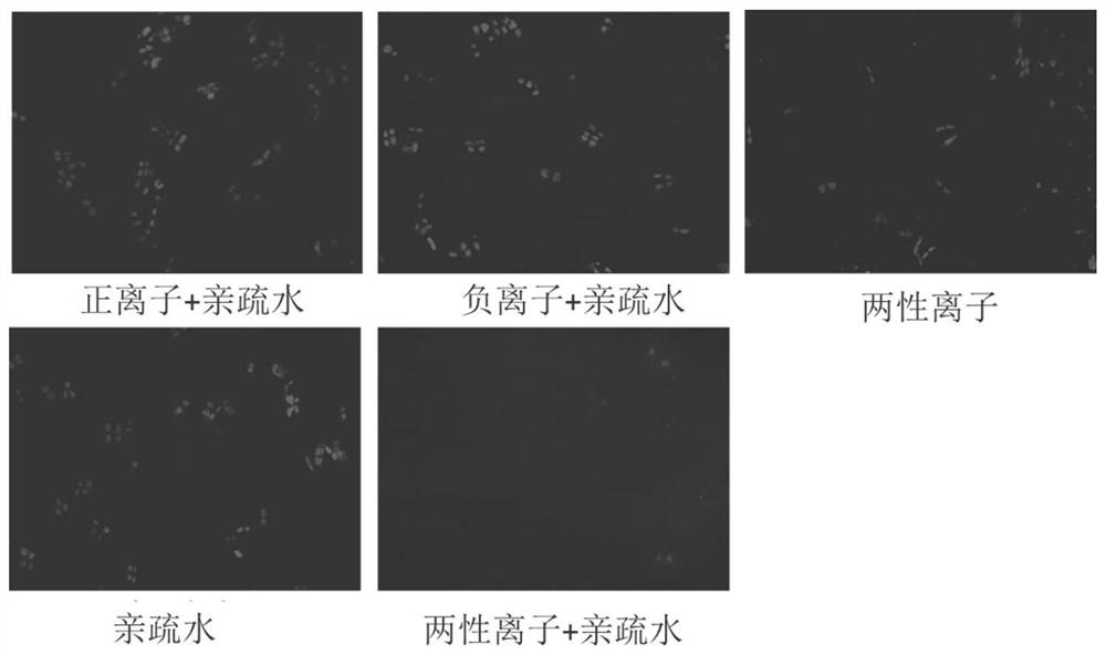 A kind of polyurethane and its preparation method and application