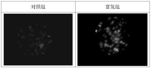 A kind of in vitro culture medium and culture method for porcine parthenogenetic activated embryo