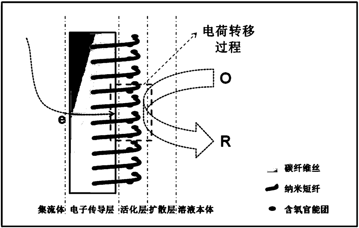 A construction method of functional graphite felt and its application in vanadium battery