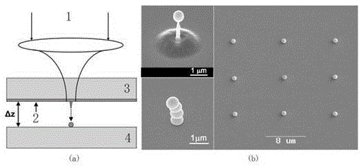 Laser implantation preparation method for multi-dimensional continuous fine structure