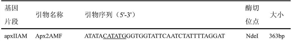 A Subunit Vaccine of Actinobacillus Pleuropneumoniae