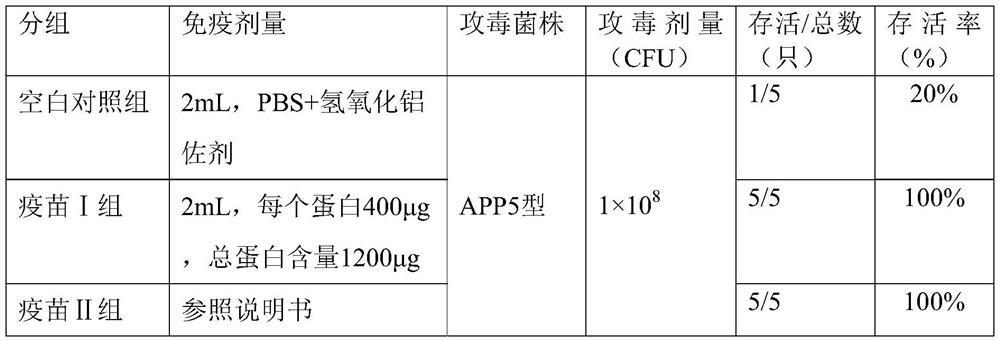 A Subunit Vaccine of Actinobacillus Pleuropneumoniae