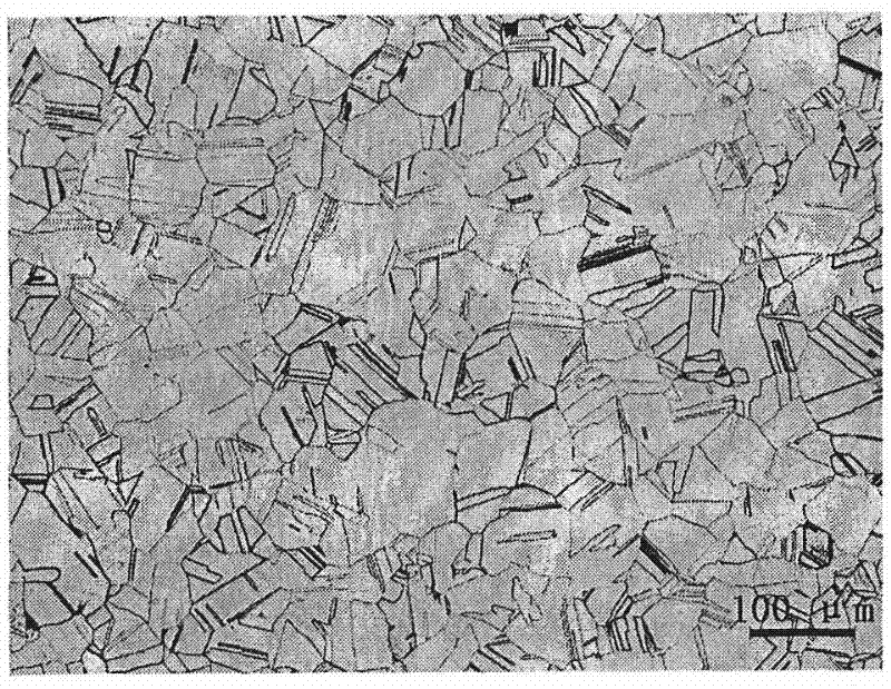 Sample processing method for observing nuclear silver-indium-cadmium control rod metallographic structure