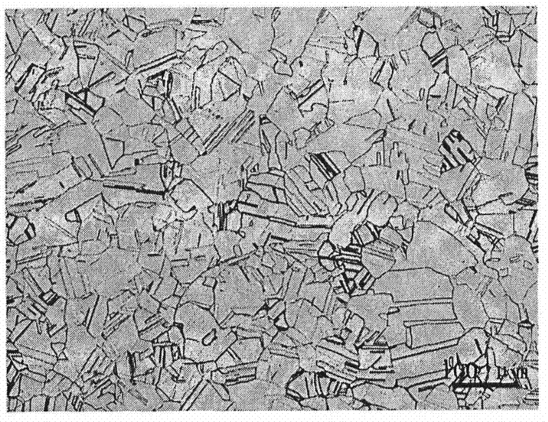 Sample processing method for observing nuclear silver-indium-cadmium control rod metallographic structure