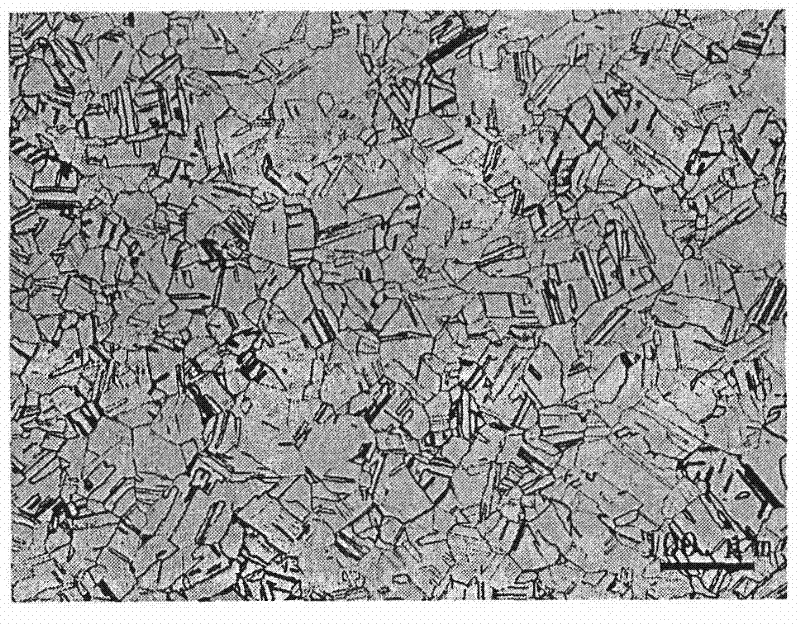 Sample processing method for observing nuclear silver-indium-cadmium control rod metallographic structure