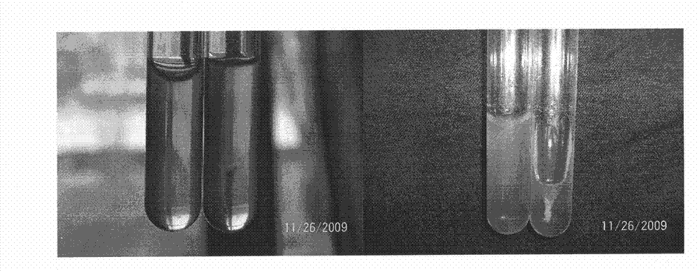 Method for separating and screening oligographic bacterium producing protease