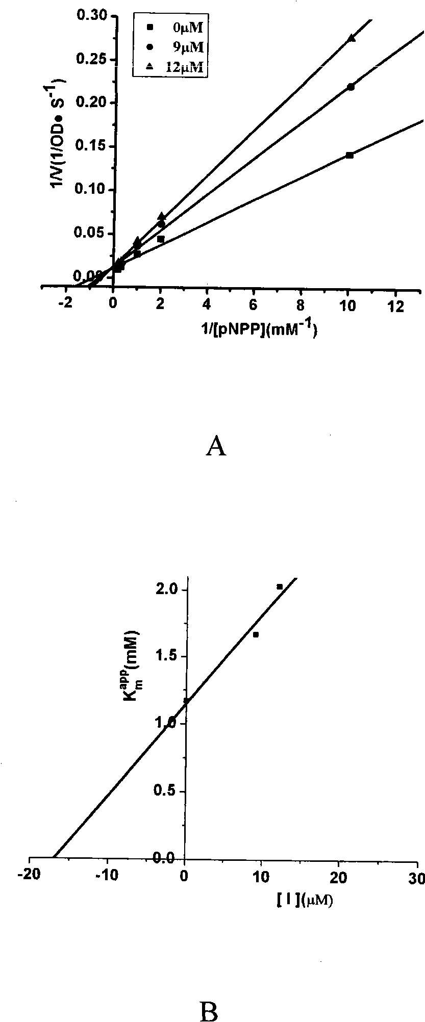 3-(2-carboxylbenzoyl)-oleanolic acid, pharmaceutical composition of same and application of same in treating diabetes and/or obesity