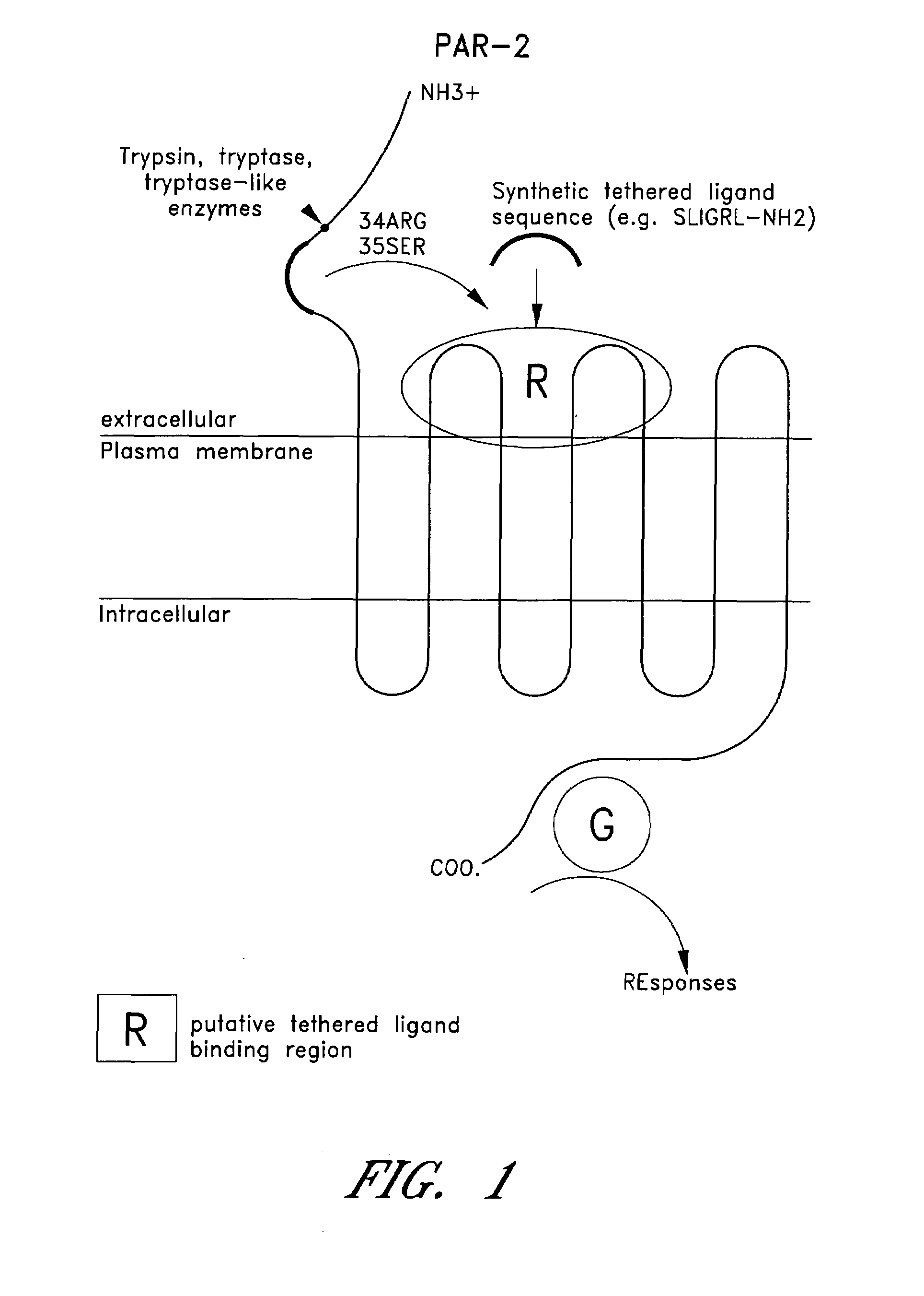 Method of treatment and agents useful for same