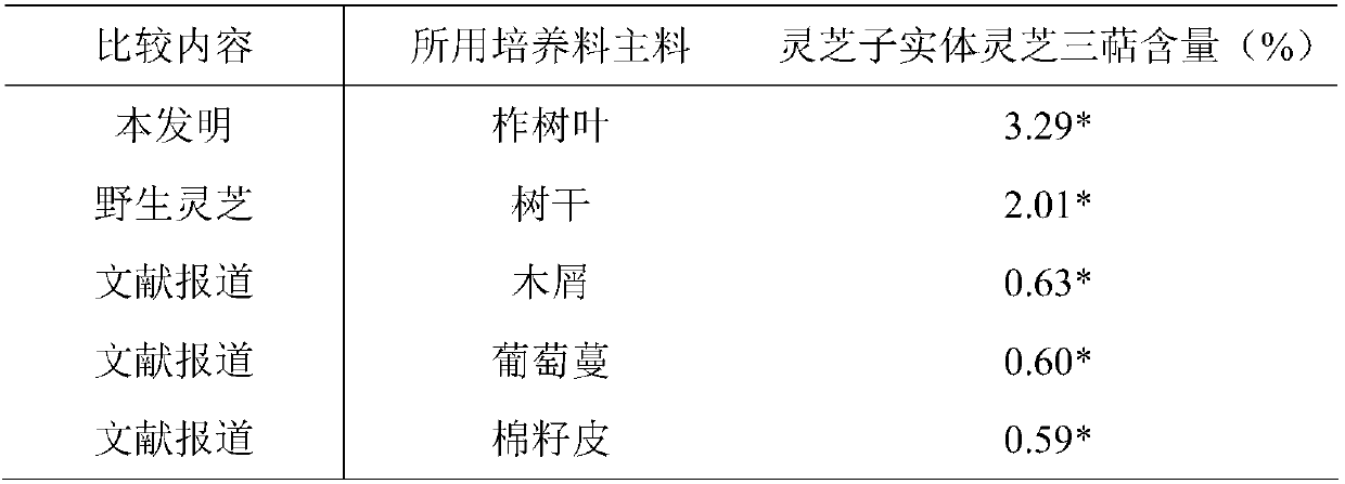 Efficient method for cultivating ganoderma lucidum by using mongolian oak leaves