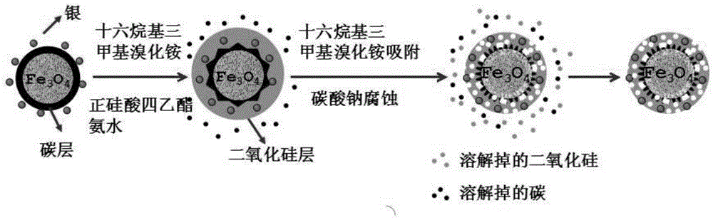 A kind of superparamagnetic iron ferric oxide nanoparticle drug carrier and its preparation method and application