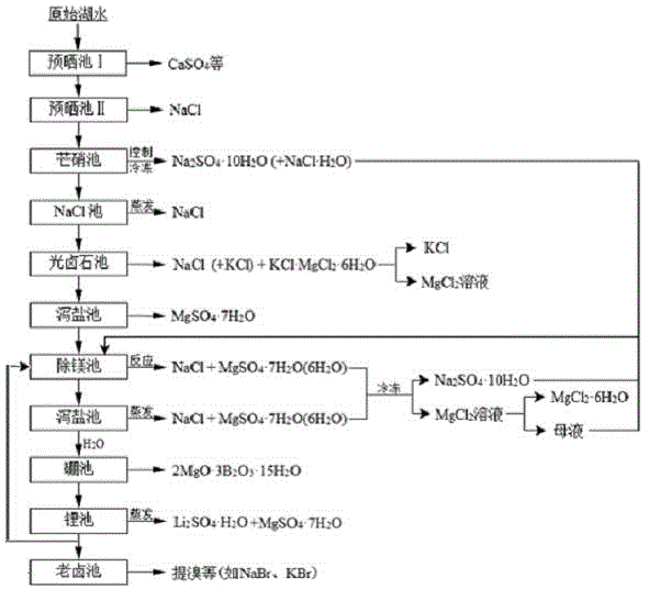 Clean production process of plateau sulfate type boron-lithium salt lake brine