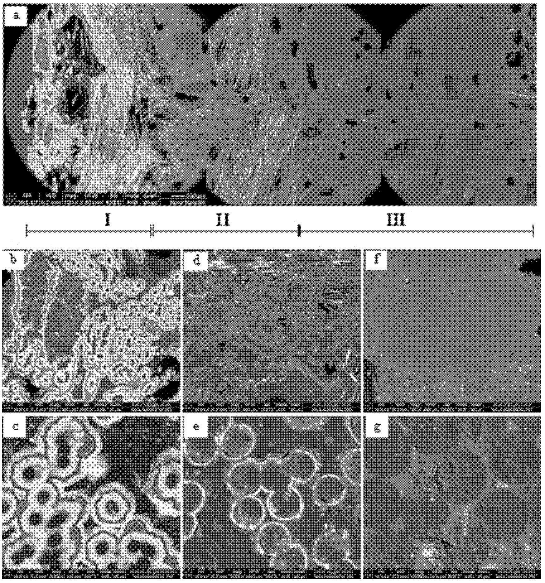 Method for preparing double-gradient carbide modified C/C composite material