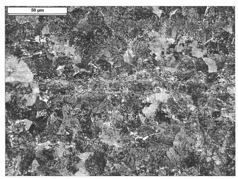 Method for producing 65Mn hot rolled steel plate