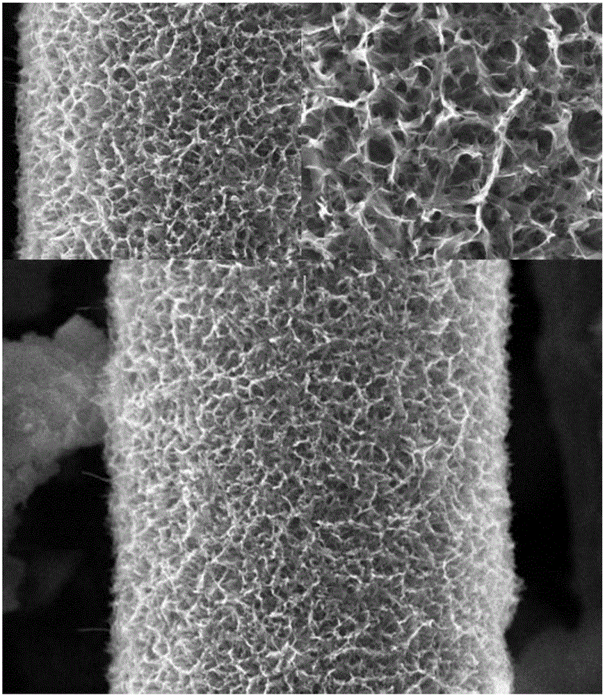 Super-thin-wall honeycomb-shaped structure titanium dioxide nano material and preparation method thereof