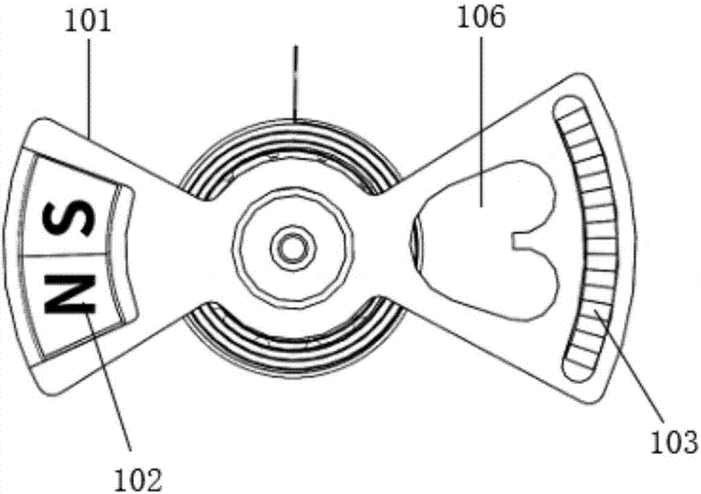 Detection probe and blood sample detection device