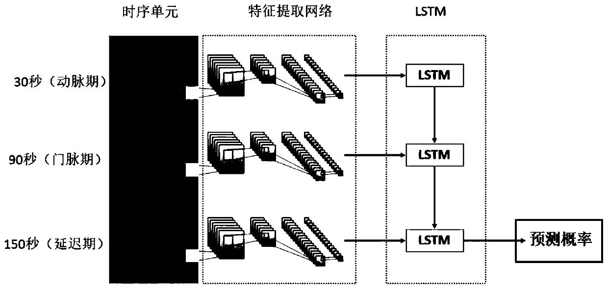 Ultrasound contrast video data analysis method based on composite neural network