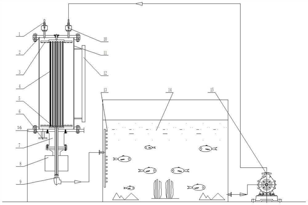 Carbon dioxide carbon sequestration system for aquatic system and application of carbon dioxide carbon sequestration system