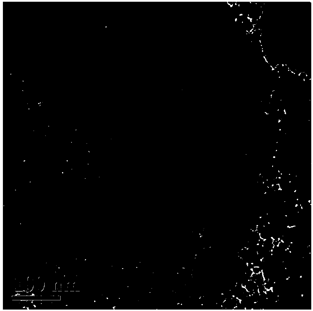 Biosynthesis method of magnetic graphene composite material