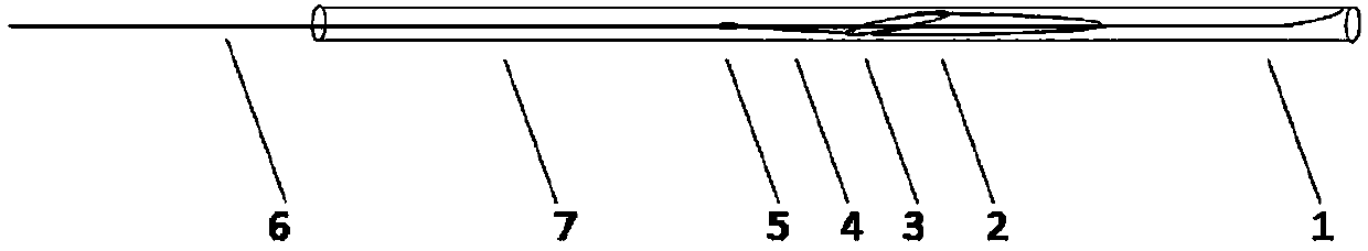 Intra-cerebrovascular special thrombus extraction apparatus