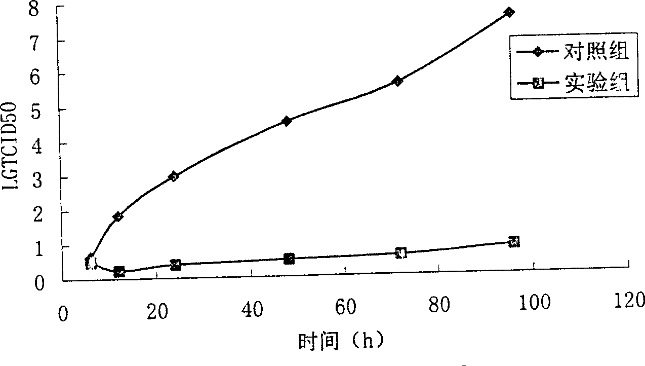 Recombination human interferon alpha-2b oral adhesive plaster and its making method