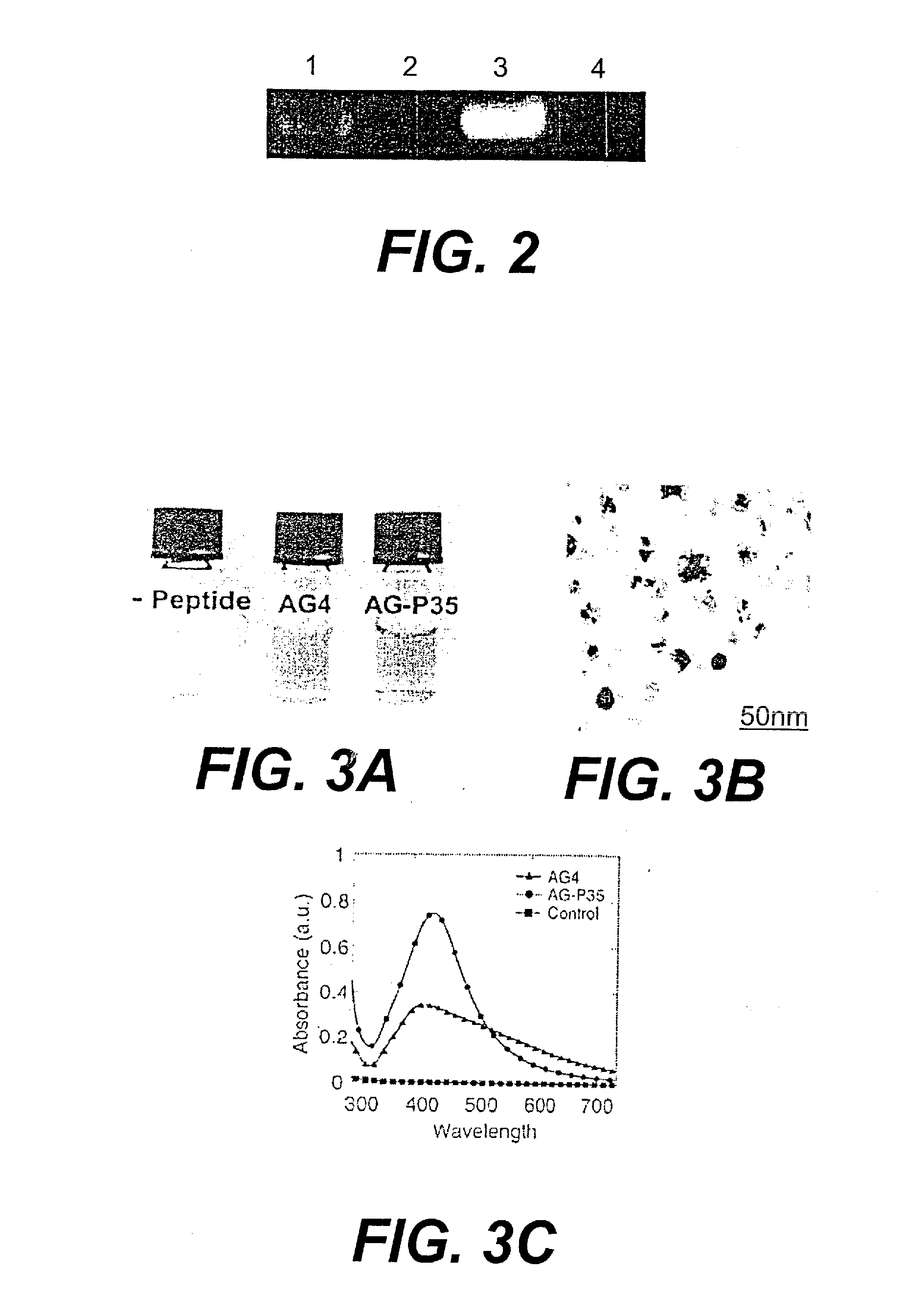 Peptide templates for nanoparticle synthesis obtained through pcr-driven phage display method