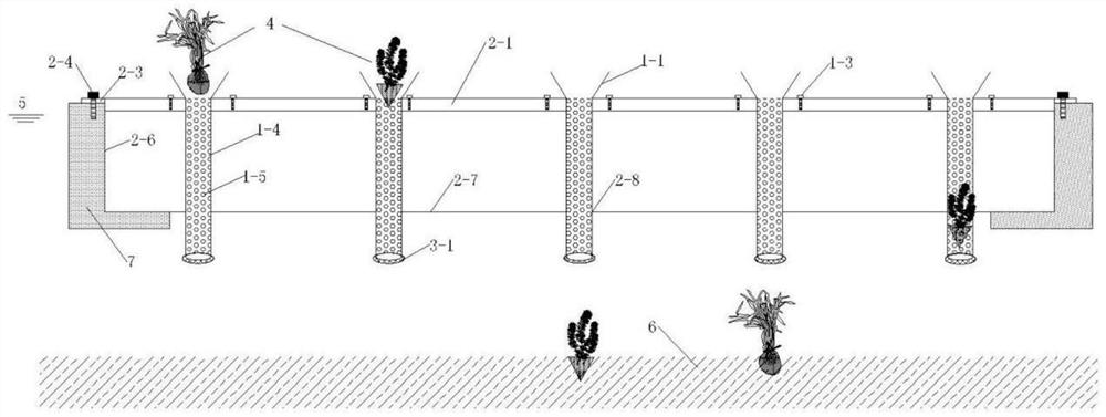 Multifunctional submerged plant planting integrated platform