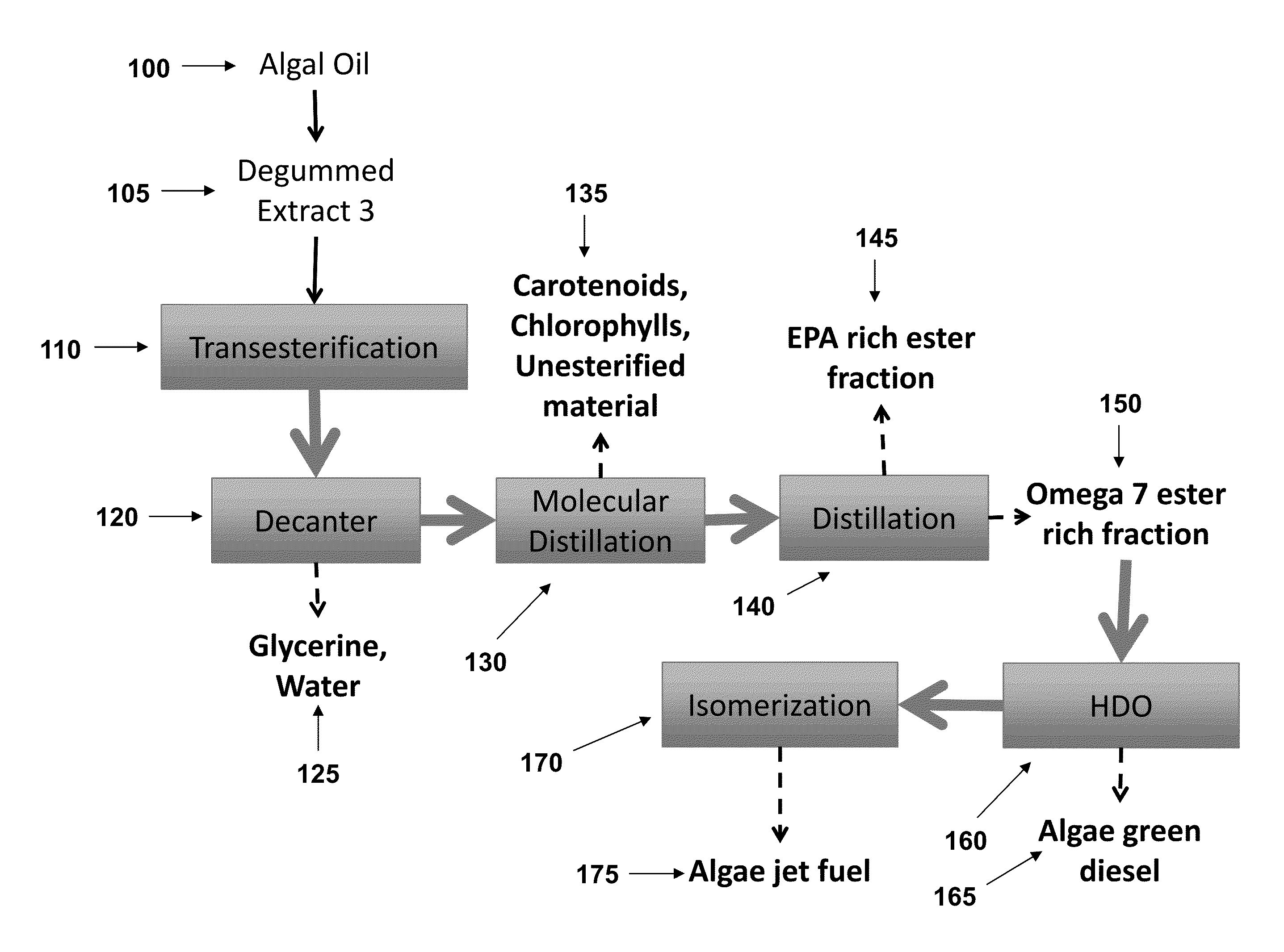 Omega 7 rich compositions and methods of isolating omega 7 fatty acids