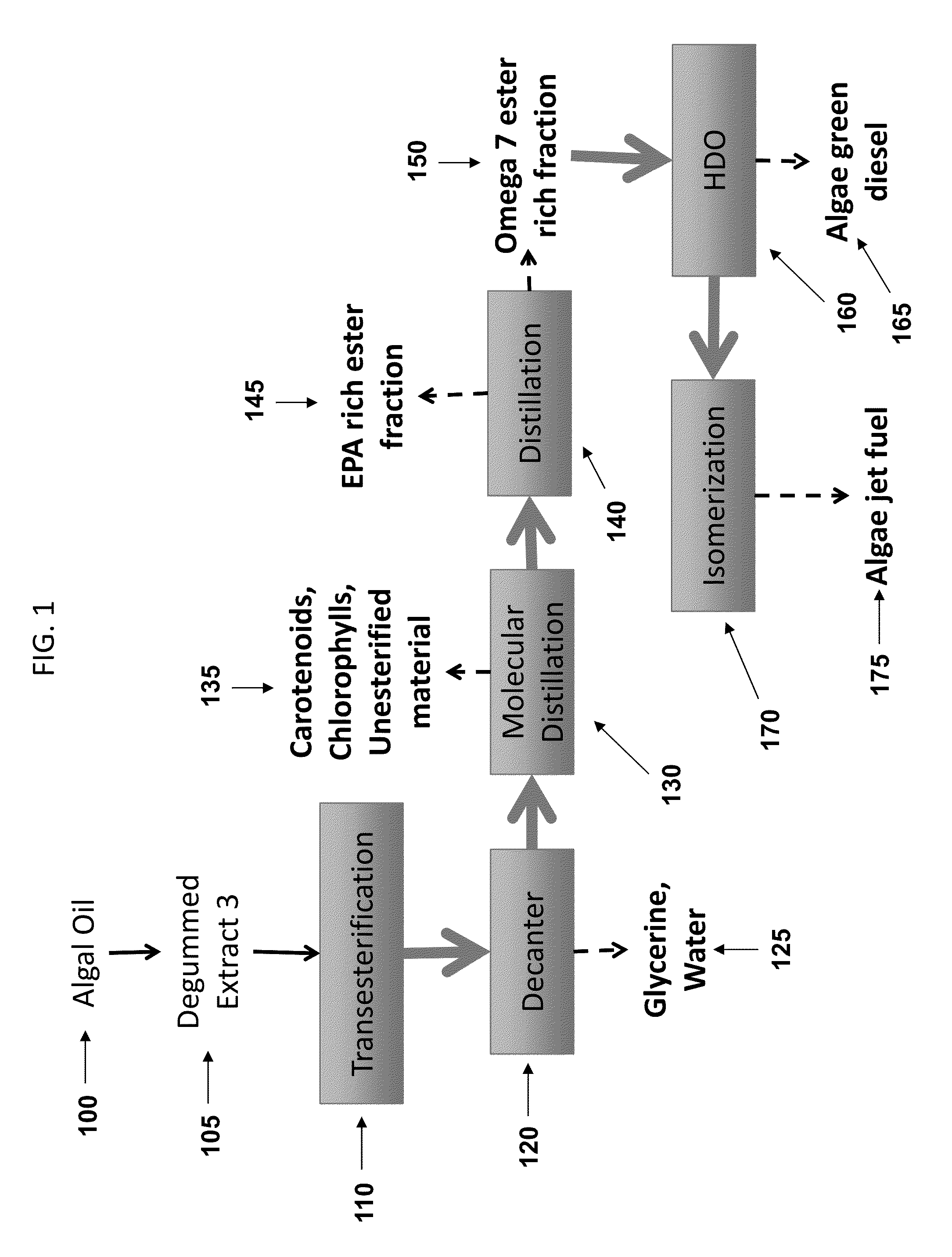 Omega 7 rich compositions and methods of isolating omega 7 fatty acids