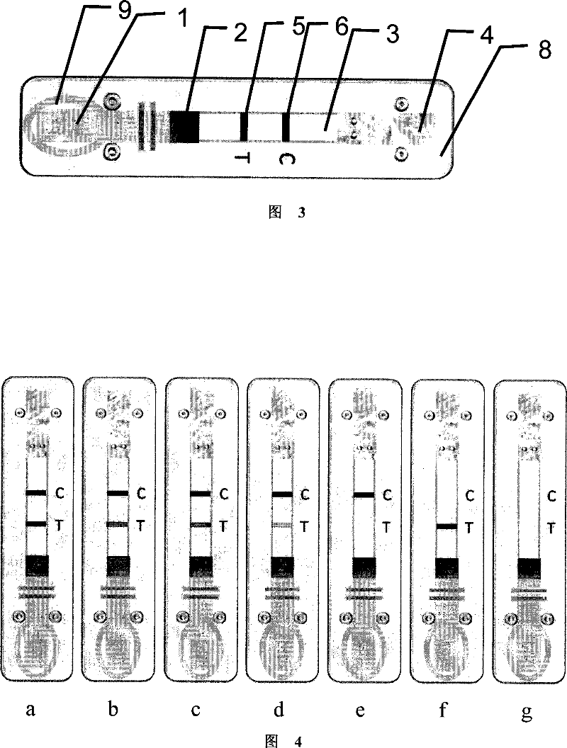 Newcastle disease immune body immune colloidal gold fast detecting reagent kit and its application