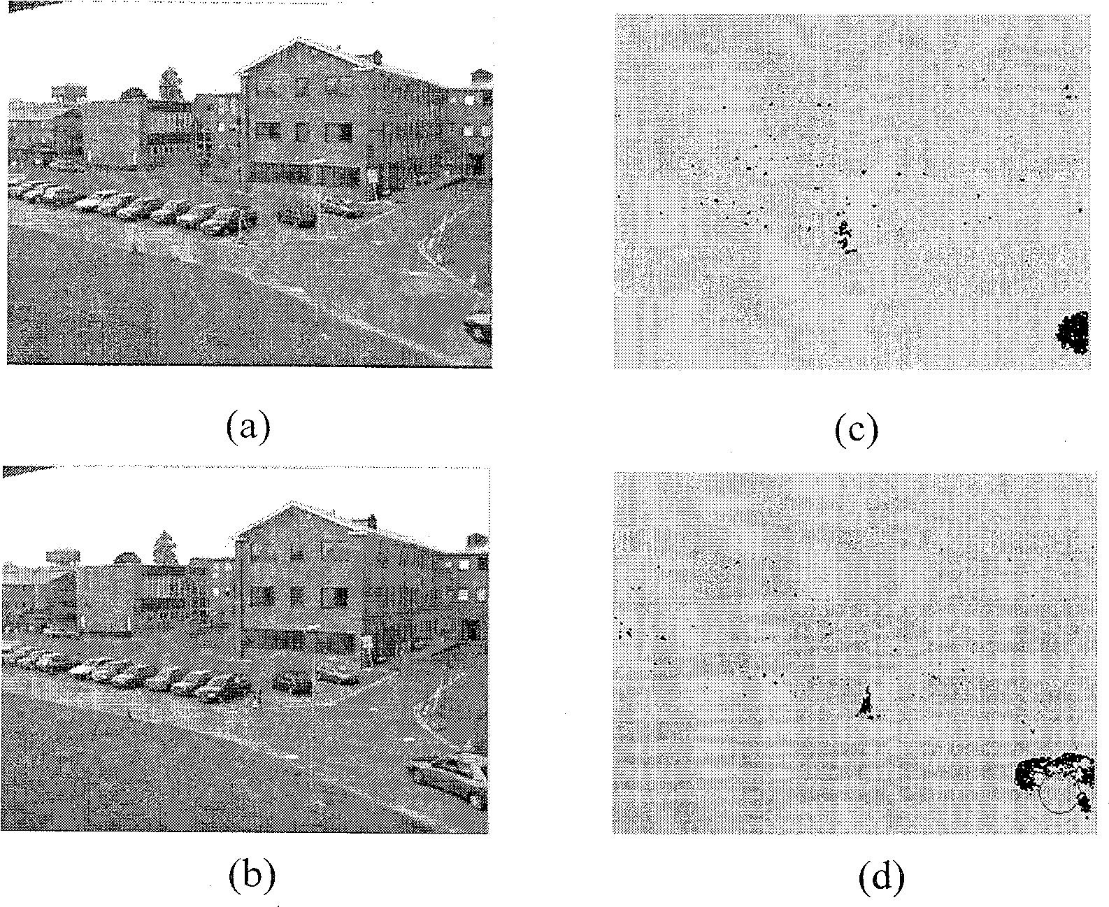 Real time movement detection method in use for video monitoring