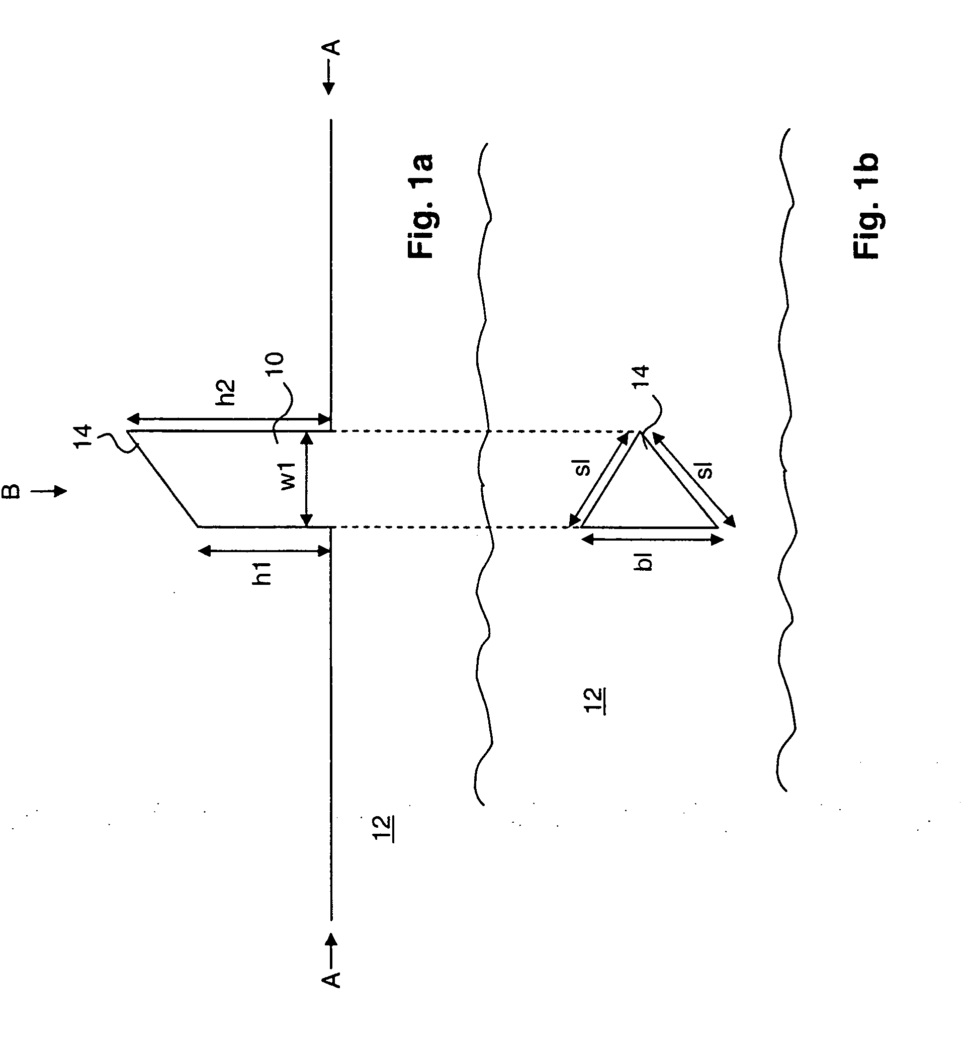 Medical apparatus for determination of biological conditions using impedance measurements