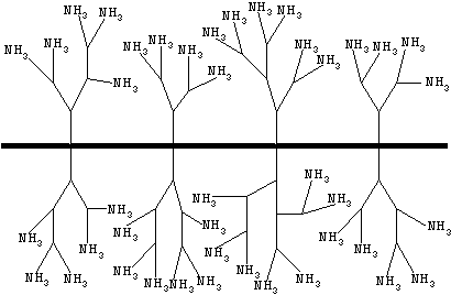 Method for enriching and separating helicobacter pylori