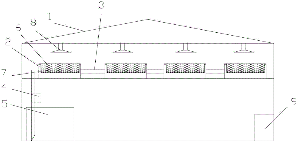 Potato culture system