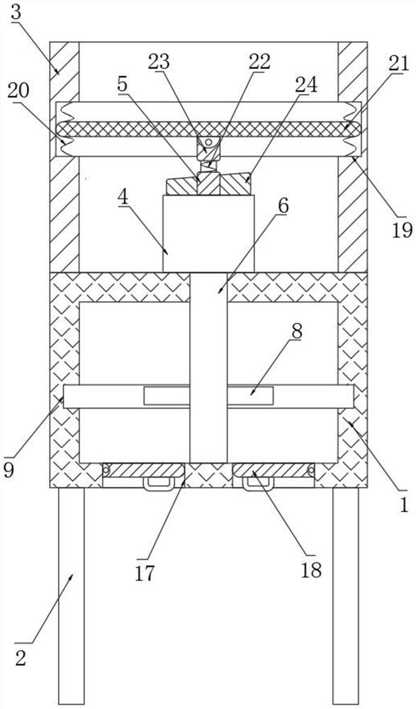 Camellia seed screening mechanism for camellia oleifera processing