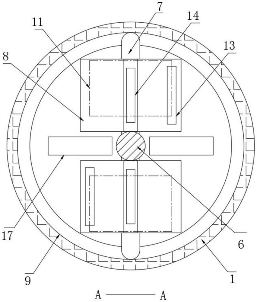 Camellia seed screening mechanism for camellia oleifera processing