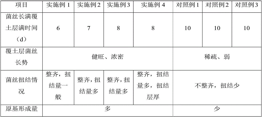 Industrial phlebopus marginatus cultivation method