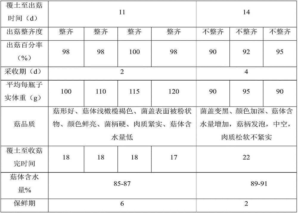 Industrial phlebopus marginatus cultivation method