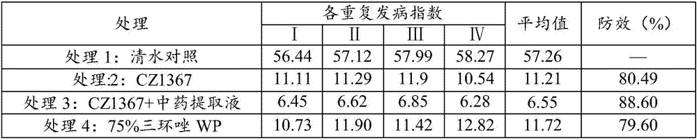 Plant-derived pesticide preparation for preventing and controlling paddy rice blast and preparation method thereof