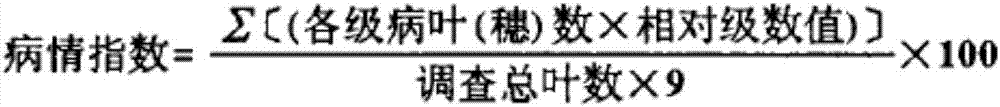 Plant-derived pesticide preparation for preventing and controlling paddy rice blast and preparation method thereof