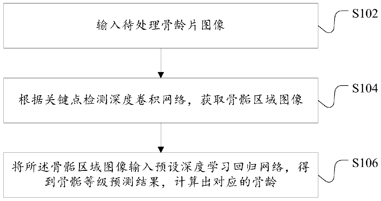 A bone age prediction method and device based on a deep regression network