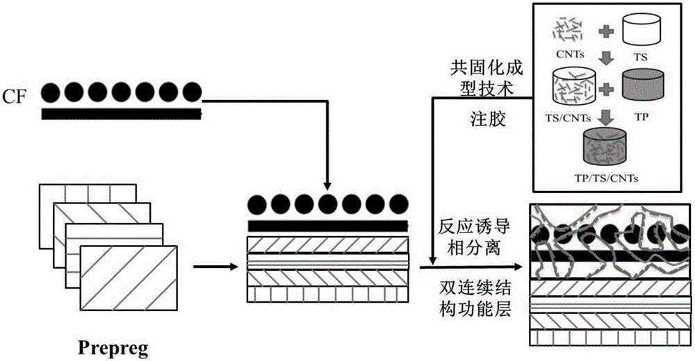 Composite material function modification method based on co-curing and reaction inductive phase separation