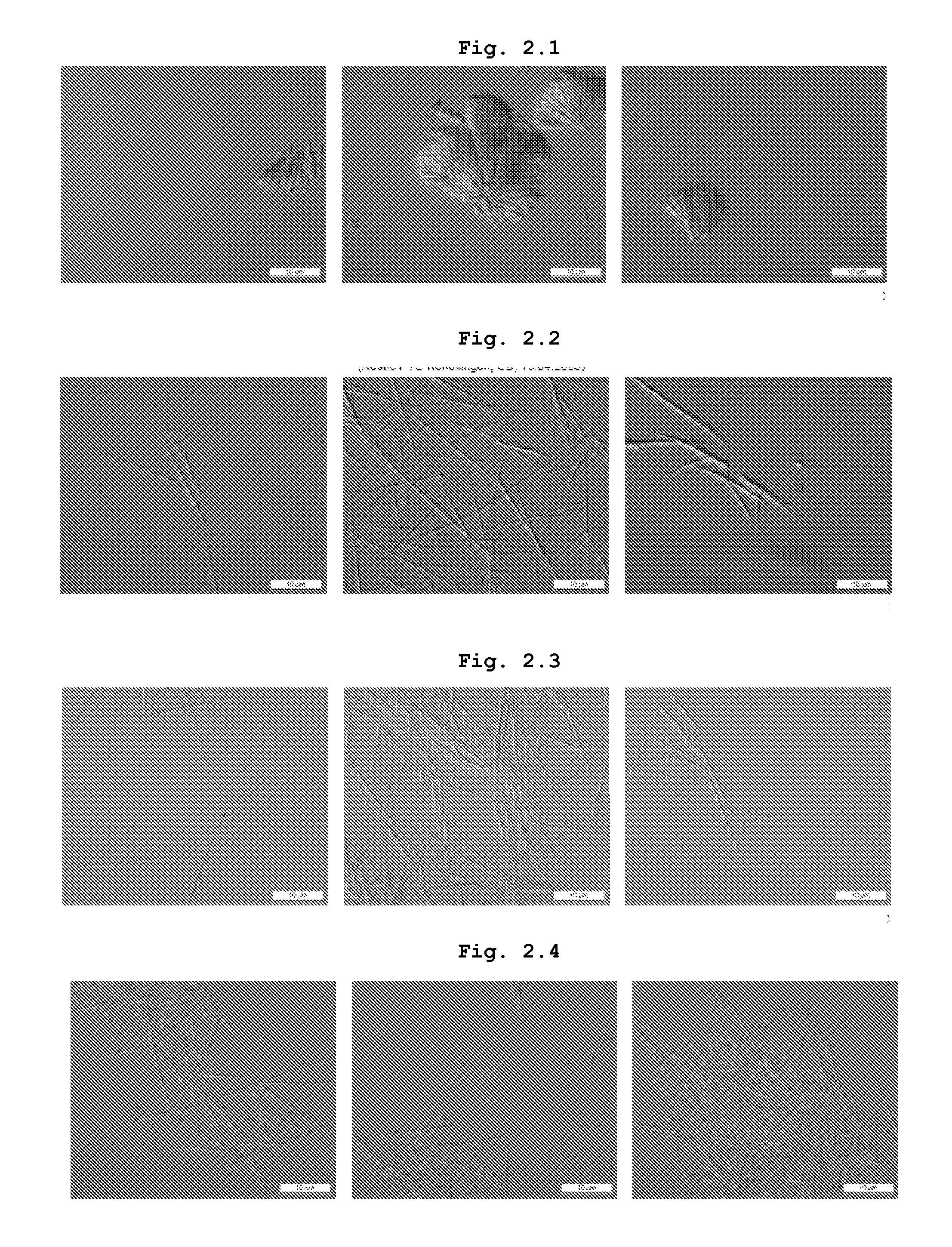 Flavanones-containing food compositions