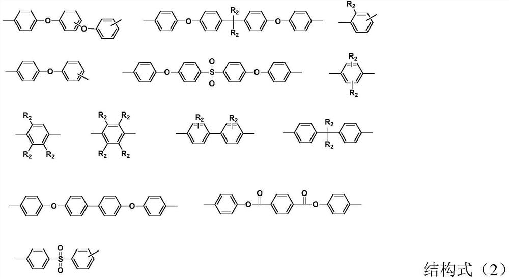 Polyamic acid stock solution and preparation method and application thereof