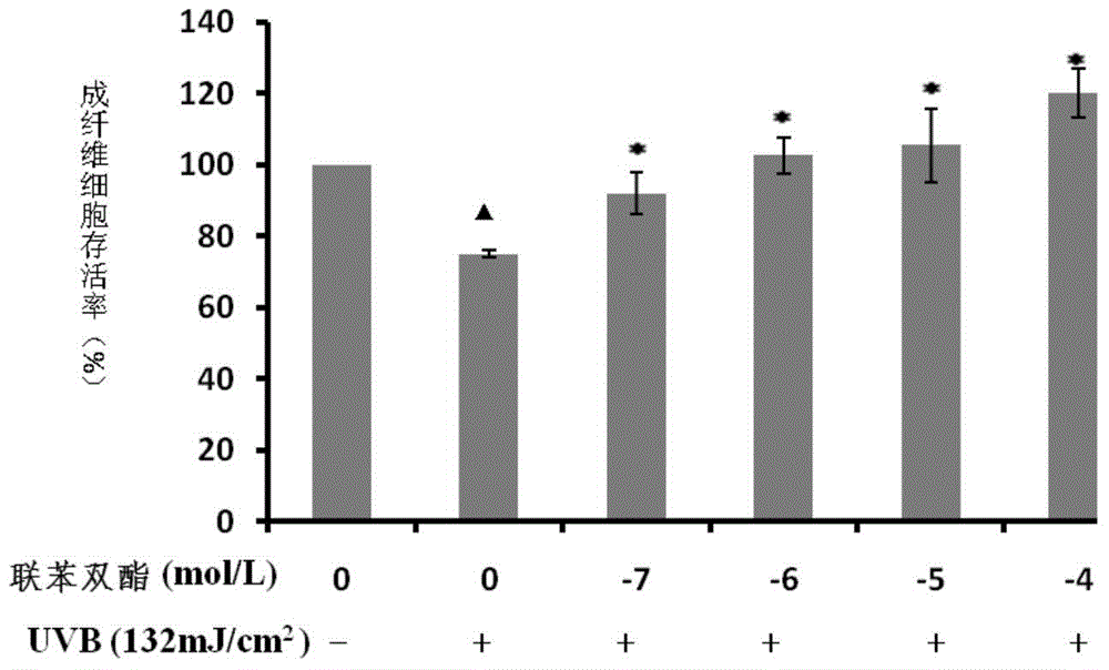 Application of bifendate to sun protection skin care product preparation