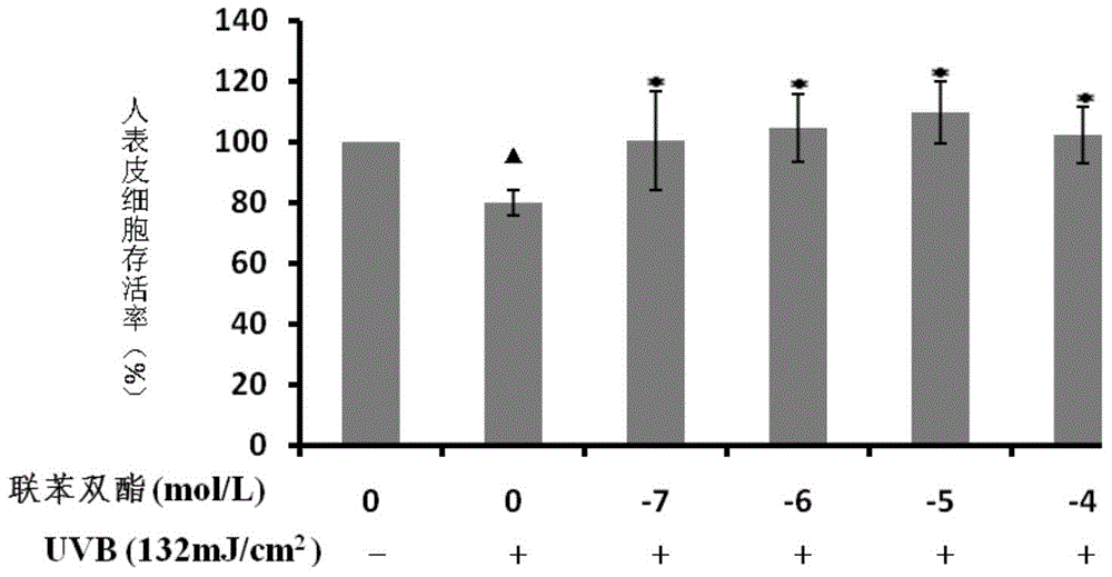 Application of bifendate to sun protection skin care product preparation