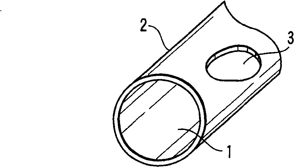 Chemical conversion film formation-evaluating liquid for steel